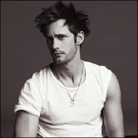 alexander-skarsgard066 (500x501, 32 kБ...)