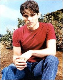 james-marsden051 (529x667, 114 kБ...)